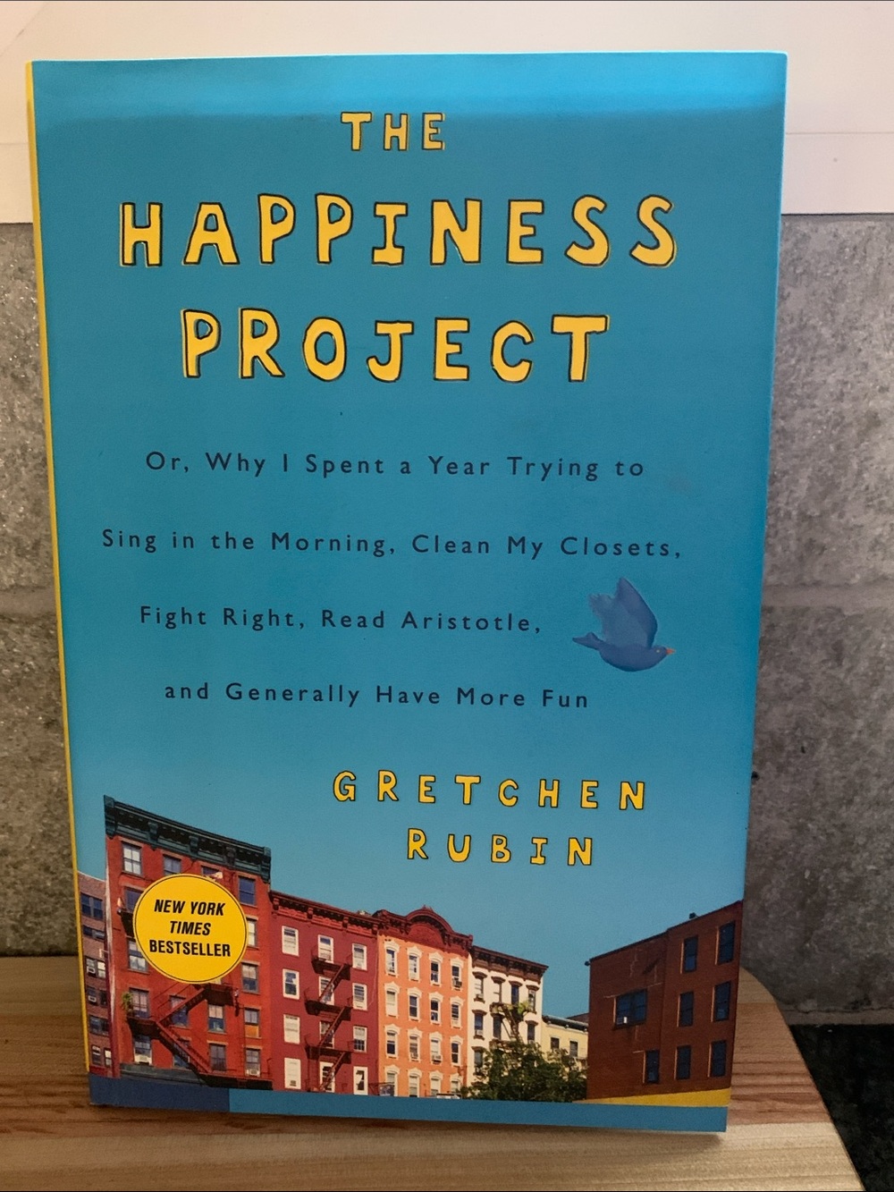 The Happiness Project Book by Gretchen Rubin